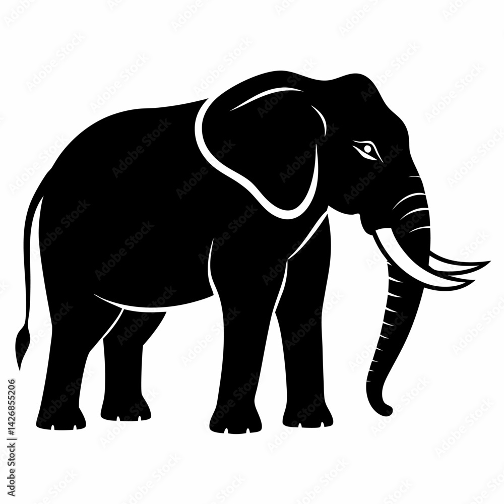 Fototapeta premium elephant isolated on white