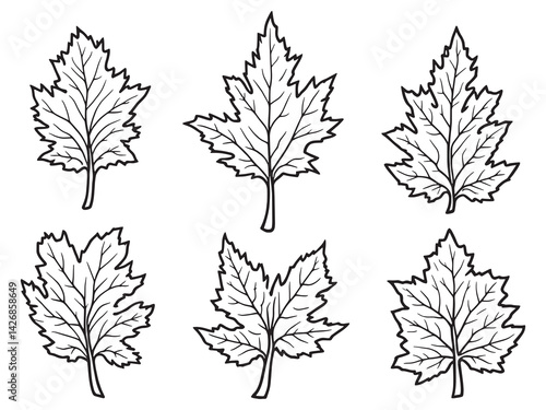 Poplar leaf line art minimal nature design for home prints