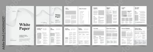 Whitepaper Template, Whitepaper Book Design, Brochure Layout Design.