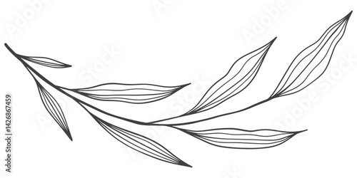 black and white outline sketch of a leaf