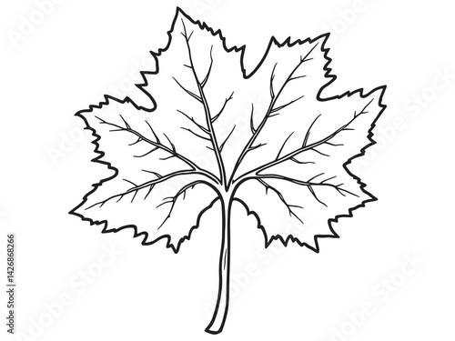 Sycamore leaf line art black and white creative nature sketch.