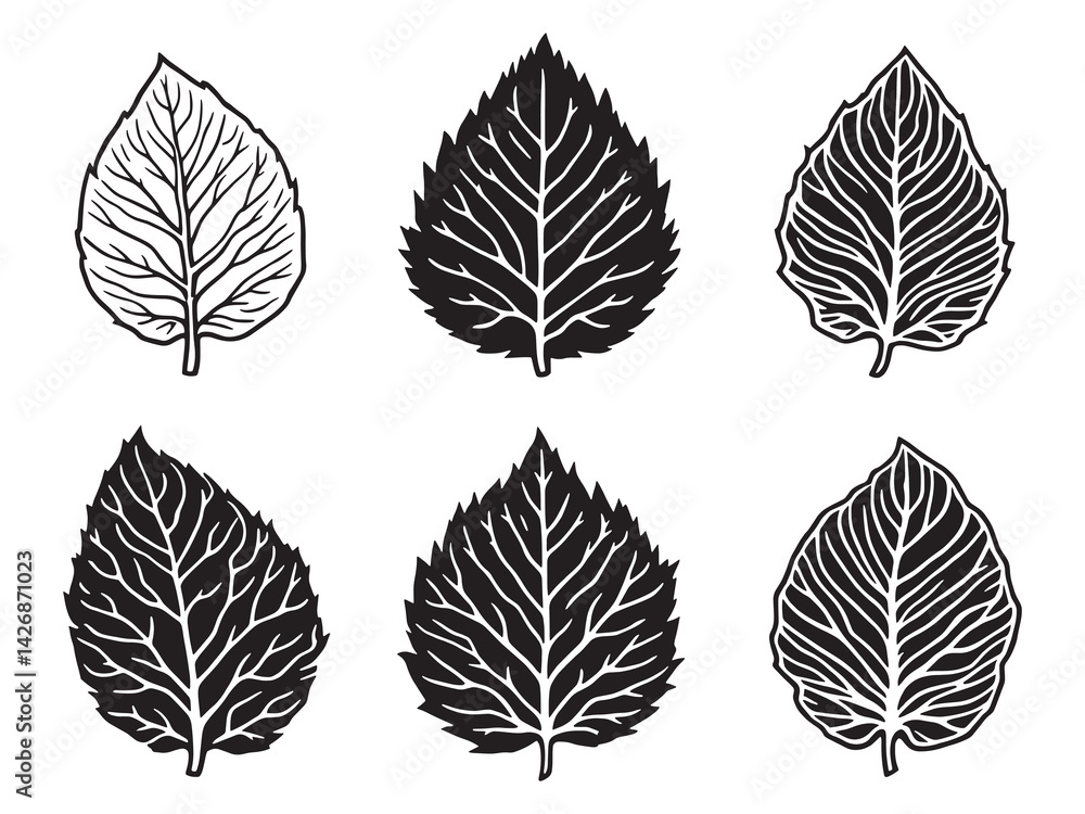 Obraz premium Teak leaf line art nature inspired botanical design for decor.