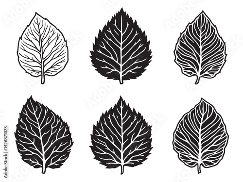 Teak leaf line art nature inspired botanical design for decor.