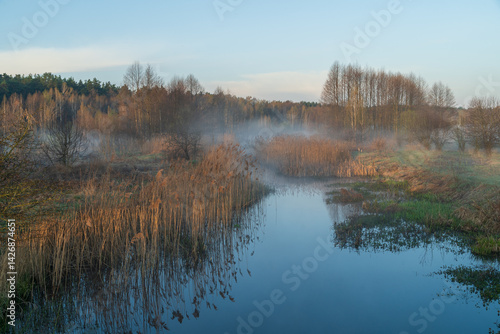 spring foggy landscape with lake
