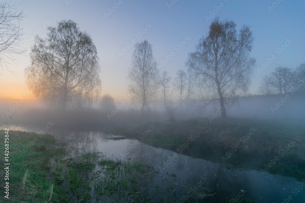 morning fog in the forest. the dawn of a lake. dawn in the forest morning fog in the forest. the dawn of a lake. dawn in the forest