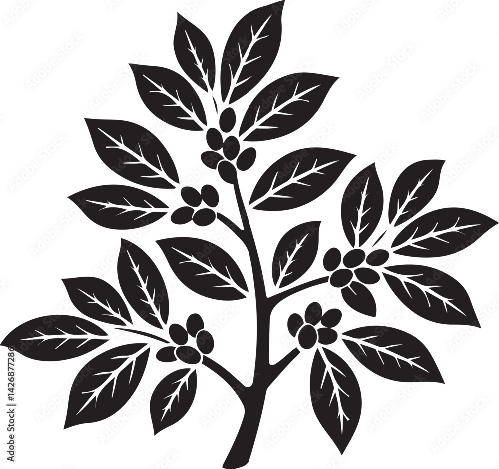Fototapeta premium A simple black and white vector illustration of a coffee plant branch with leaves and berries