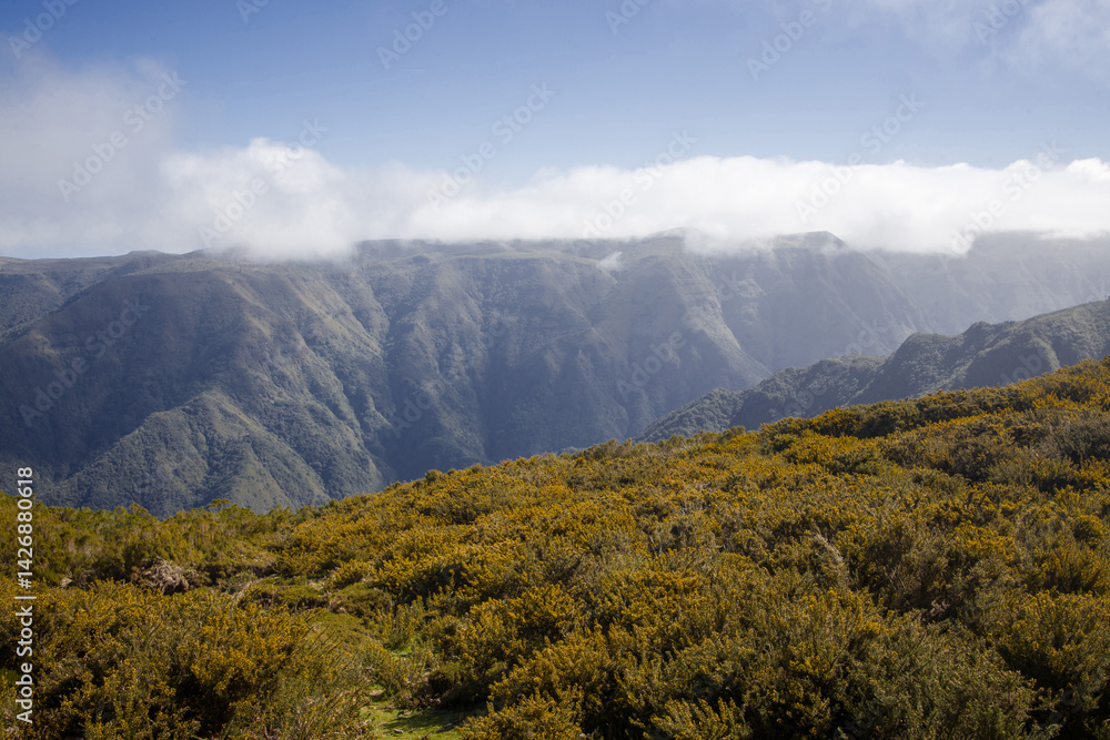 Majestic view of Madeira's mountains showcasing lush valleys and dramatic landscapes under a clear blue sky