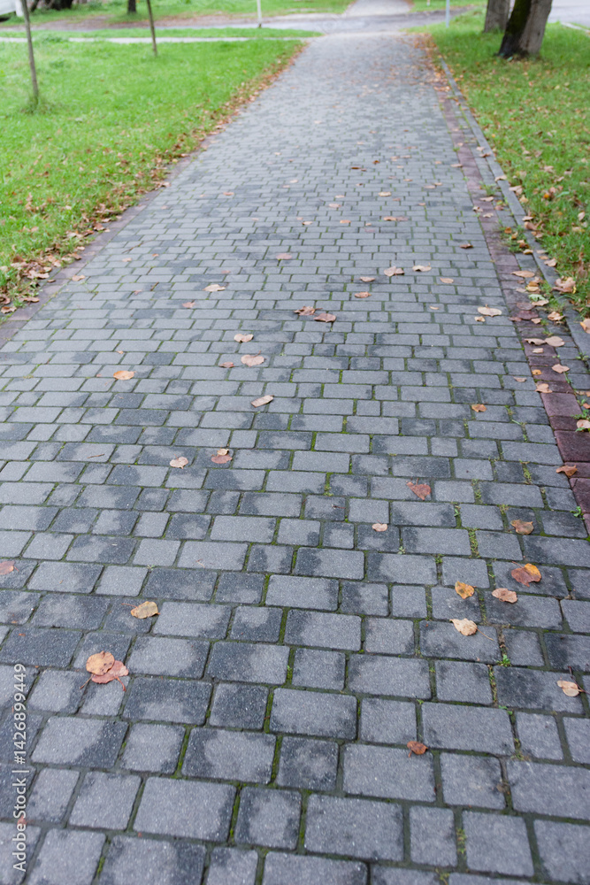 Fototapeta premium Paved walkway adorned with autumn leaves in a tranquil park setting during a crisp morning