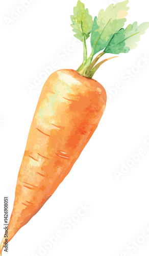 Watercolor Carrot Vector Illustration – Hand-painted Organic Root Vegetable Design for Healthy Eating, Farm Produce, and Botanical Art

