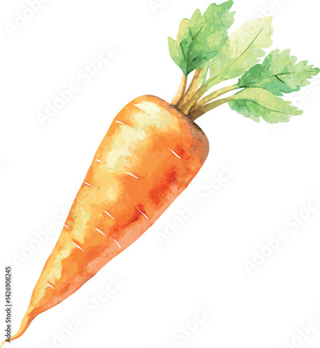 Watercolor Carrot Vector Illustration – Hand-painted Organic Root Vegetable Design for Healthy Eating, Farm Produce, and Botanical Art

