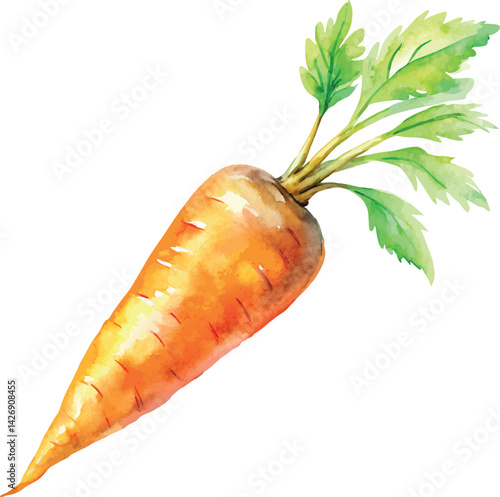 Watercolor Carrot Vector Illustration – Hand-painted Organic Root Vegetable Design for Healthy Eating, Farm Produce, and Botanical Art

