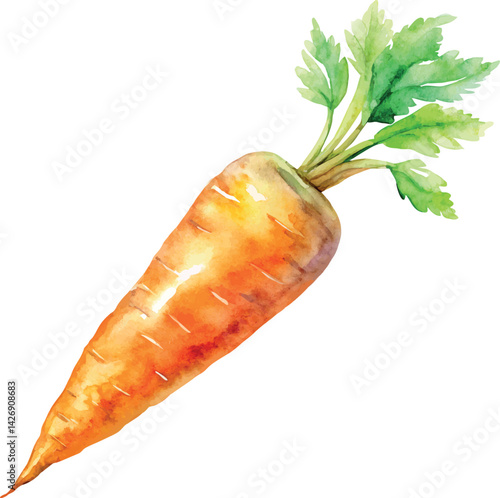 Watercolor Carrot Vector Illustration – Hand-painted Organic Root Vegetable Design for Healthy Eating, Farm Produce, and Botanical Art

