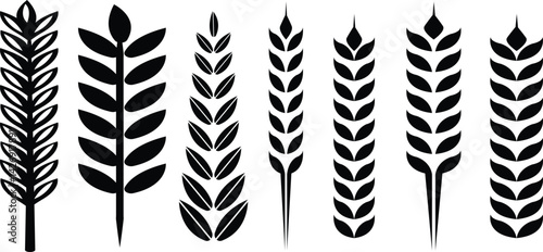 Set of wreaths and branches with leaves. Hand drawing laurel wreaths and branches collection. Laurels wreaths, swirls, twigs and flower ornaments. Herbs, flowers and plants elements with vector
