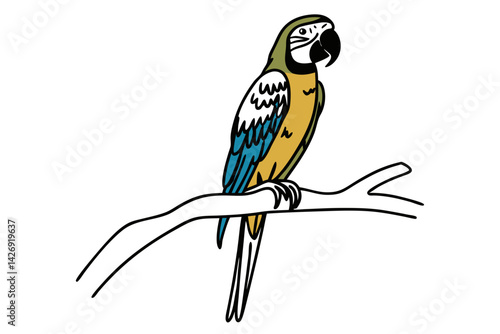 blue and yellow macaw