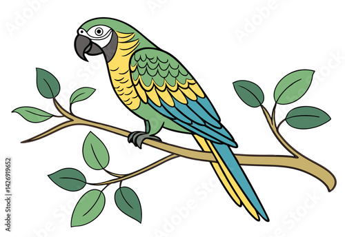 parrot on branch