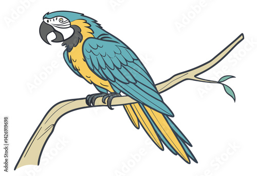 blue and yellow macaw