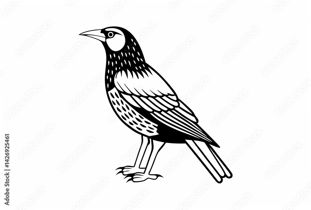 Fototapeta premium bird on a branch