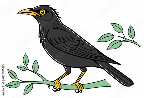 bird on a branch