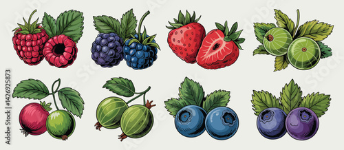 Assorted Fresh Berries Collection Hand Drawn Illustration