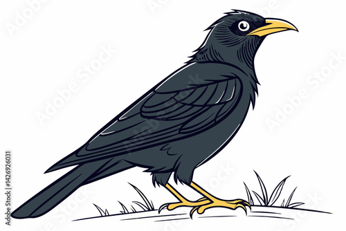 raven on a branch