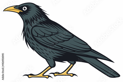 raven on a white background