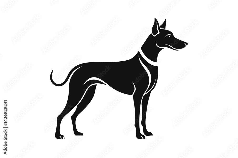 black and white dog black and white dog