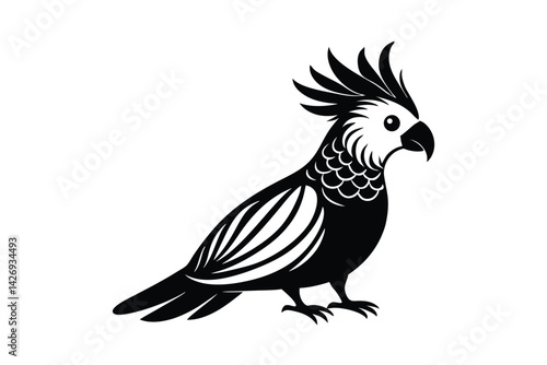 cockatoo isolated on white background