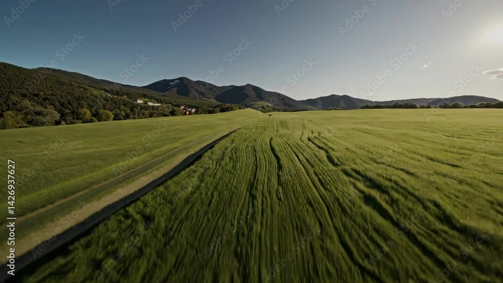 Aerial view over green fields and mountains in daylight