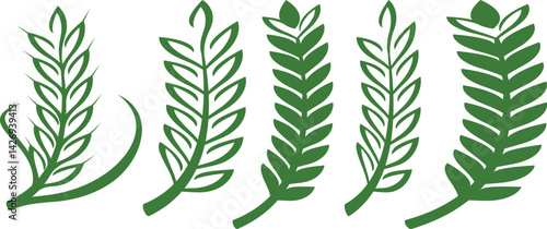 Set of wreaths and branches with leaves. green leaf, Laurels wreaths, swirls, twigs and flower ornaments. Herbs, flowers and plants elements with vector