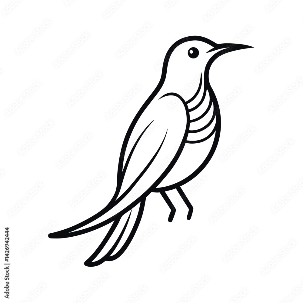 Outline of a Sunbird Drawing Outline of a Sunbird Drawing