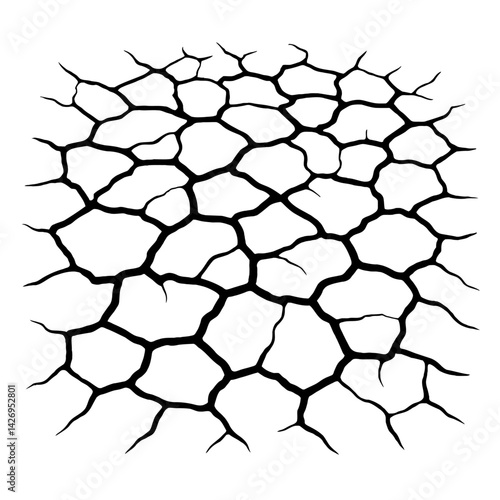 Vector illustration of cracked earth or dry ground with a network of fissures in black and white. Represents drought, arid landscapes, and texture.