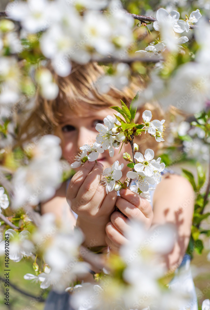 Fototapeta premium Child in a garden of flowering trees. Selective focus.