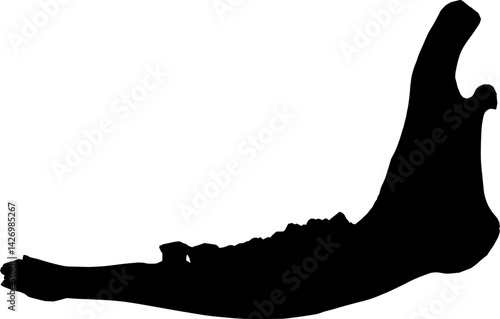 Jaw bone silhouette