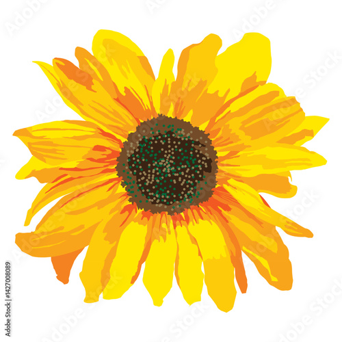 vector illustration of yellow sunflower