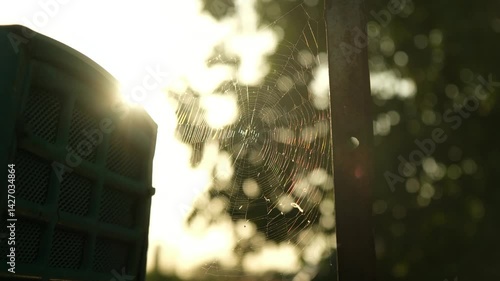 
Wooden swing in the forest
