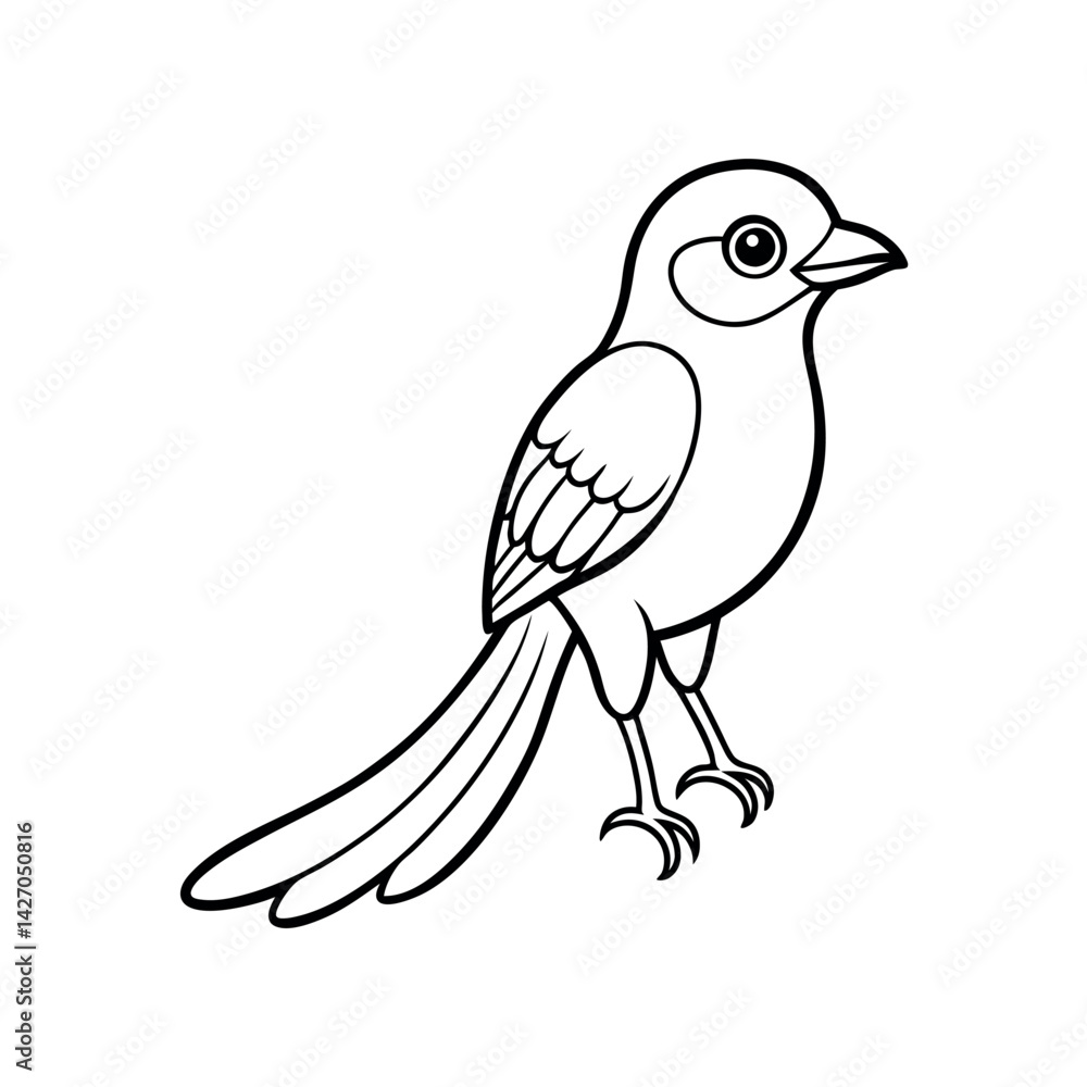 Fototapeta premium Baby Tailed Trogon Outline Vector Art