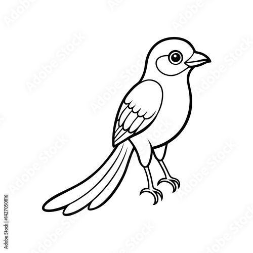 Baby Tailed Trogon Outline Vector Art