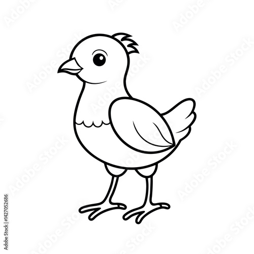 Baby Great Argus Bird Outline Drawing