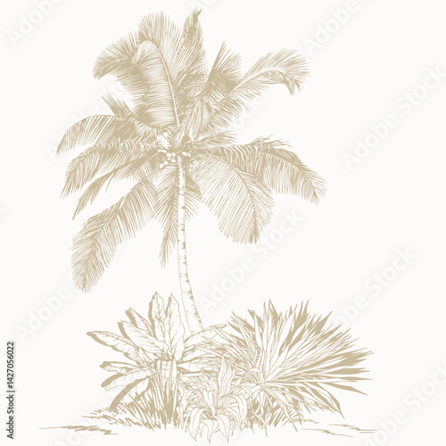 Elegant Palm Tree and Tropical Leaves in Line Art Style. Minimalist botanical vector perfect for prints, branding, packaging, and modern design projects.