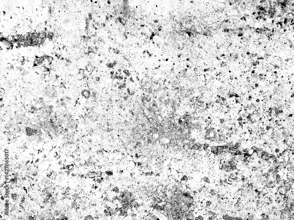 Abstract grunge black and white distressed texture overlay effect design element, noise background Abstract grunge black and white distressed texture overlay effect design element, noise background