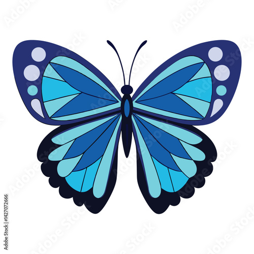 A beautiful blue butterfly vector