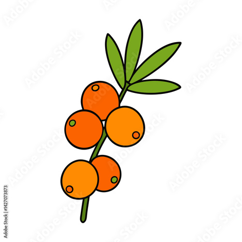 Cute sea buckthorn cartoon vector