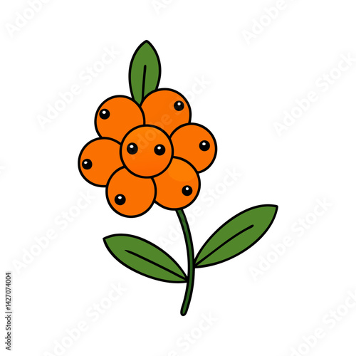 Cute sea buckthorn cartoon vector