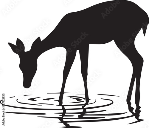 Deer Drinking Water from a Pond
