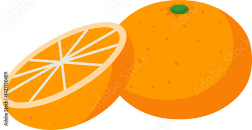 Orange Fruit Illustration