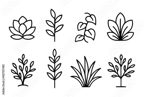 Nature and botanical icon set – outline style plant and foliage symbols: leaf, branch, succulent, sprig, grass, stem, herb, bloom