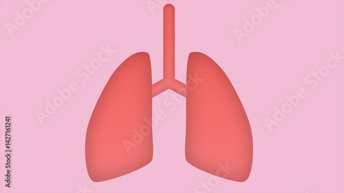 The work of human lungs. Minimal modern seamless motion design. Animation 2D