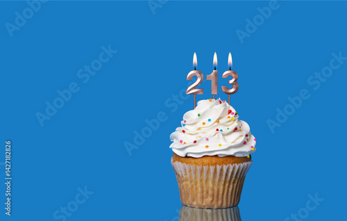 Birthday Or Anniversary Cupcake With Lit Candles; Candles Forming The Number 213.
