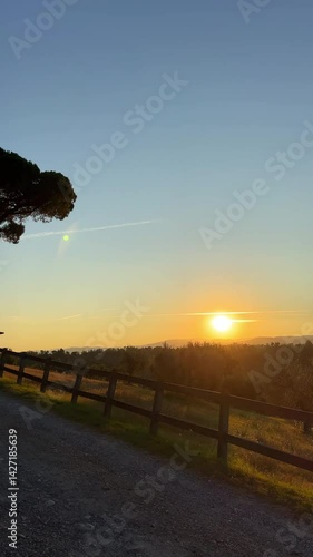 A Serene Sunset Over a Rural Landscape Featuring a Majestic Tree in the Distance