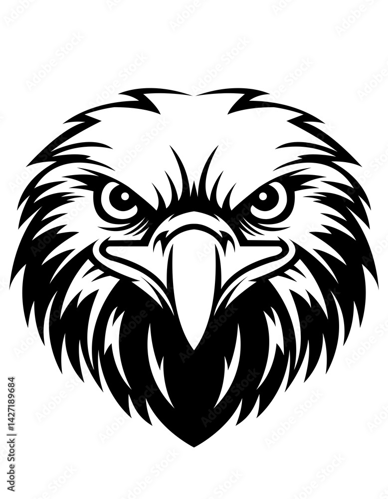 Obraz premium Eagle Face Close up 